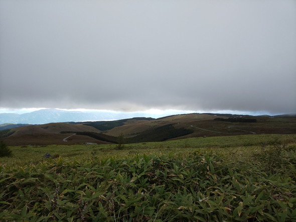 DSC_2281.jpg