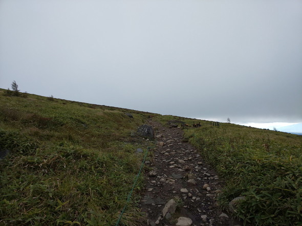 DSC_2284.jpg